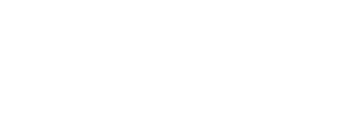 Austro Engine